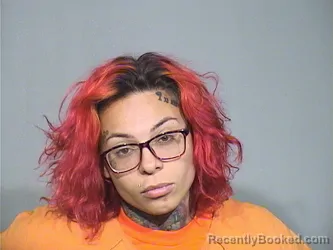 Mugshot of Sarah Williams booked in McHenry County, Illinois on September 15, 2026