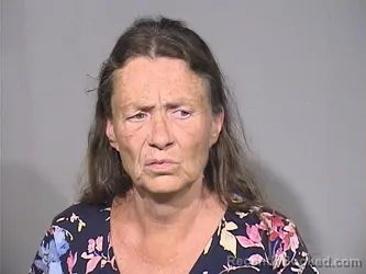 Mugshot of Donna Weber booked in McHenry County, Illinois on September 10, 2026