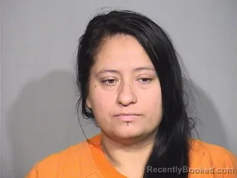 Mugshot of Ofelia Zavala-Pizano booked in McHenry County, Illinois on September 11, 2026
