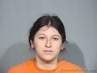 Mugshot of Ana Karen Nova Ramirez booked in McHenry County, Illinois on September 12, 2026