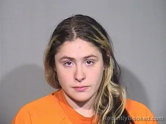 Mugshot of Haley Marie Honish booked in McHenry County, Illinois on October 3, 2026