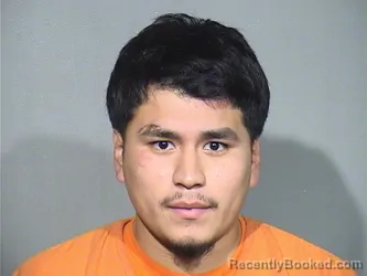 Mugshot of Sergio Mendoza-Nova booked in McHenry County, Illinois on October 4, 2026