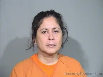 Mugshot of Daismelys Del Carmen Carreno-Longart booked in McHenry County, Illinois on October 4, 2026