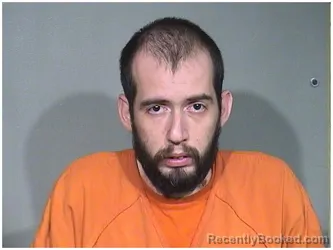 Mugshot of TIMOTHY E CHAPMAN