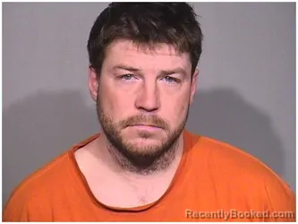 Mugshot of STEVEN R WILLIS