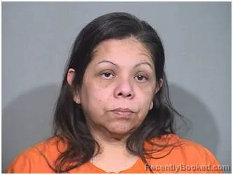 Booking photo from McHenry County, Illinois