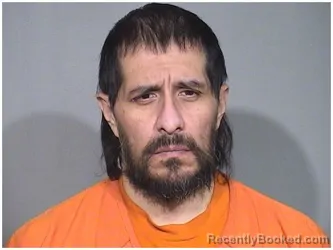 Booking photo from McHenry County, Illinois