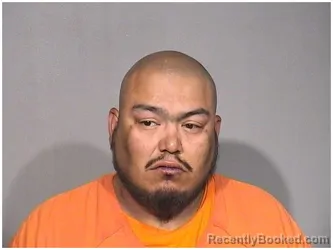 Mugshot of FERNANDO VARGAS booked in McHenry County, Illinois on July 5, 2026