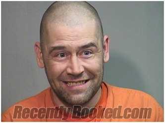 Booking photo from McHenry County, Illinois