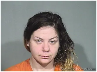 Mugshot of HEATHER L VASIL