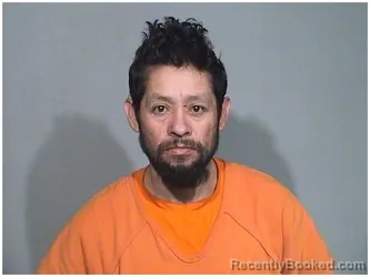 Mugshot of SILVESTRE PEDROZA-ARELLANO