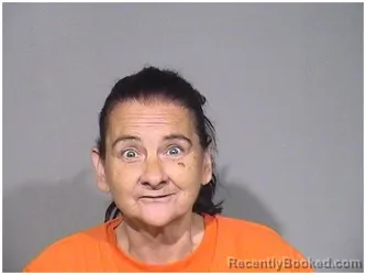 Mugshot of HOLLY A WALKER booked in McHenry County, Illinois on July 13, 2026