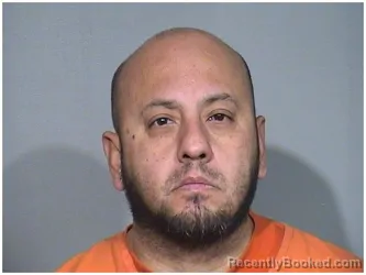 Booking photo from McHenry County, Illinois