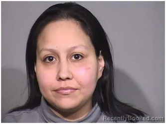 Mugshot of MAYRA I CASTANEDA-MARTINEZ booked in McHenry County, Illinois on May 6, 2026