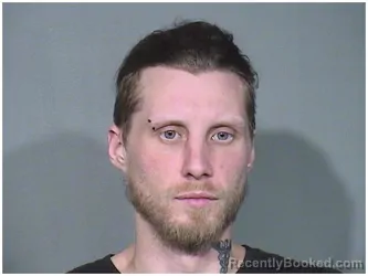 Booking photo from McHenry County, Illinois