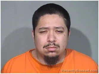 Mugshot of TRINIDAD J FERNANDEZ booked in McHenry County, Illinois on July 30, 2026