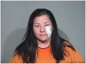 Mugshot of JENNIFER L WALDRON booked in McHenry County, Illinois on April 25, 2026