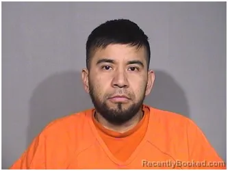 Mugshot of DAVID ORTIZ-DOMINGUEZ