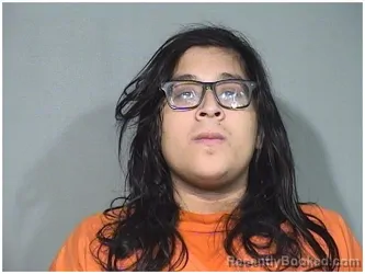 Mugshot of JESUS A PALENCIA