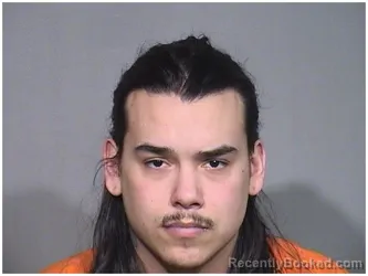 Mugshot of GABRIEL H KUSSIN-BAROS