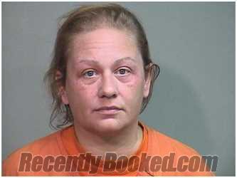 Booking photo from McHenry County, Illinois