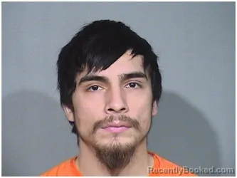 Mugshot of JOHN ALVARADO