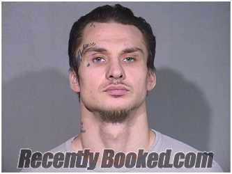 Booking photo from McHenry County, Illinois