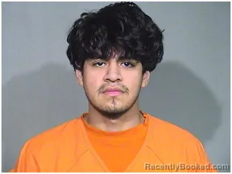 Mugshot of ALEJANDRO A ZAVALA-RAMIREZ booked in McHenry County, Illinois on April 4, 2026