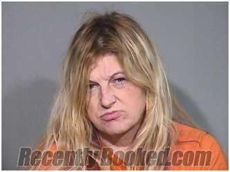 Booking photo from McHenry County, Illinois