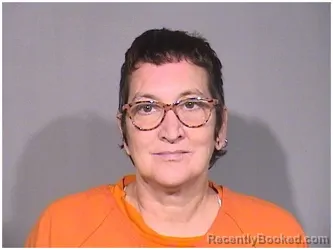Mugshot of HOLLY L LIPMAN booked in McHenry County, Illinois on June 22, 2026