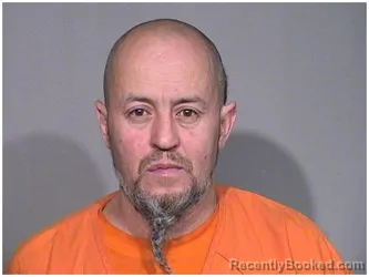 Mugshot of Gabriel Gamboa booked in McHenry County, Illinois on August 9, 2026