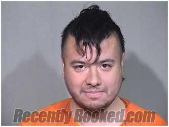 Booking photo from McHenry County, Illinois