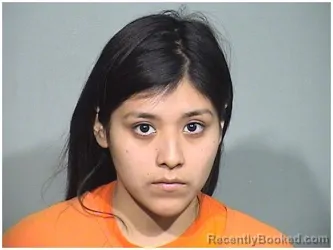 Mugshot of ESTEFANI S ROJAS booked in McHenry County, Illinois on June 24, 2026