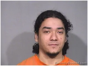 Mugshot of ROY L MCGHEE