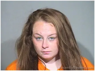 Mugshot of JESSICA L BROWN booked in McHenry County, Illinois on June 17, 2026