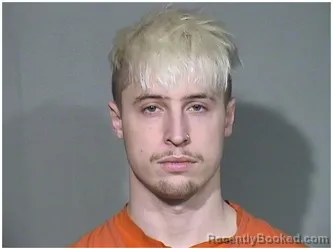 Mugshot of TYLER D BIERMAN