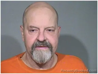 Mugshot of MICHAEL D WALENGA