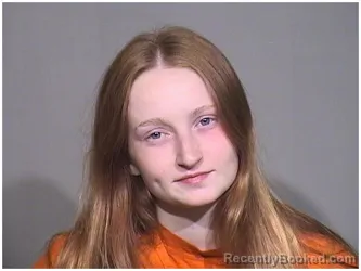 Booking photo from McHenry County, Illinois