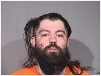 Booking photo from McHenry County, Illinois