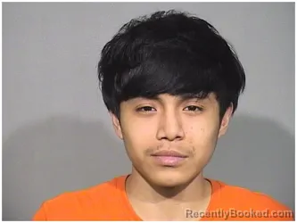 Mugshot of CRUZ CALIXTO