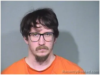 Booking photo from McHenry County, Illinois