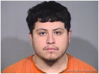 Booking photo from McHenry County, Illinois