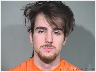 Mugshot of LUKE J WHEATON