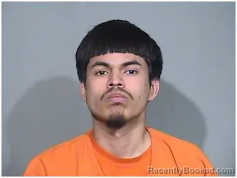 Mugshot of JOEL FERNANDEZ
