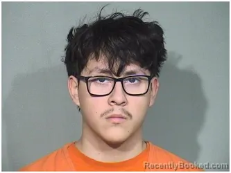Mugshot of MATEO A CAMARENA