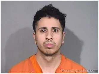 Mugshot of CARLOS A GONZALEZ-GARCIA