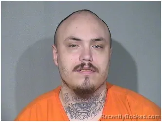 Mugshot of ROBERT A ZAJLER