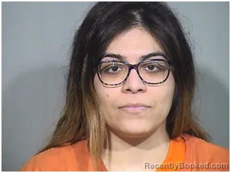 Mugshot of IVANNA L TELLES