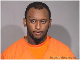 Mugshot of TERRY L TROUTMAN