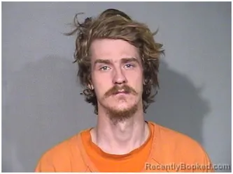 Mugshot of CLAYTON R TEGTMAN